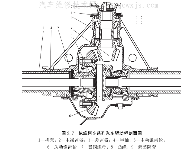 图像 5.png