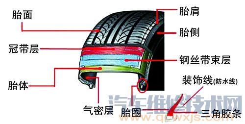 轮胎的结构示意图（图解）