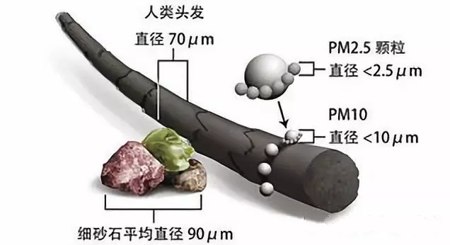 机滤加磁铁有用吗？看看专家怎么说